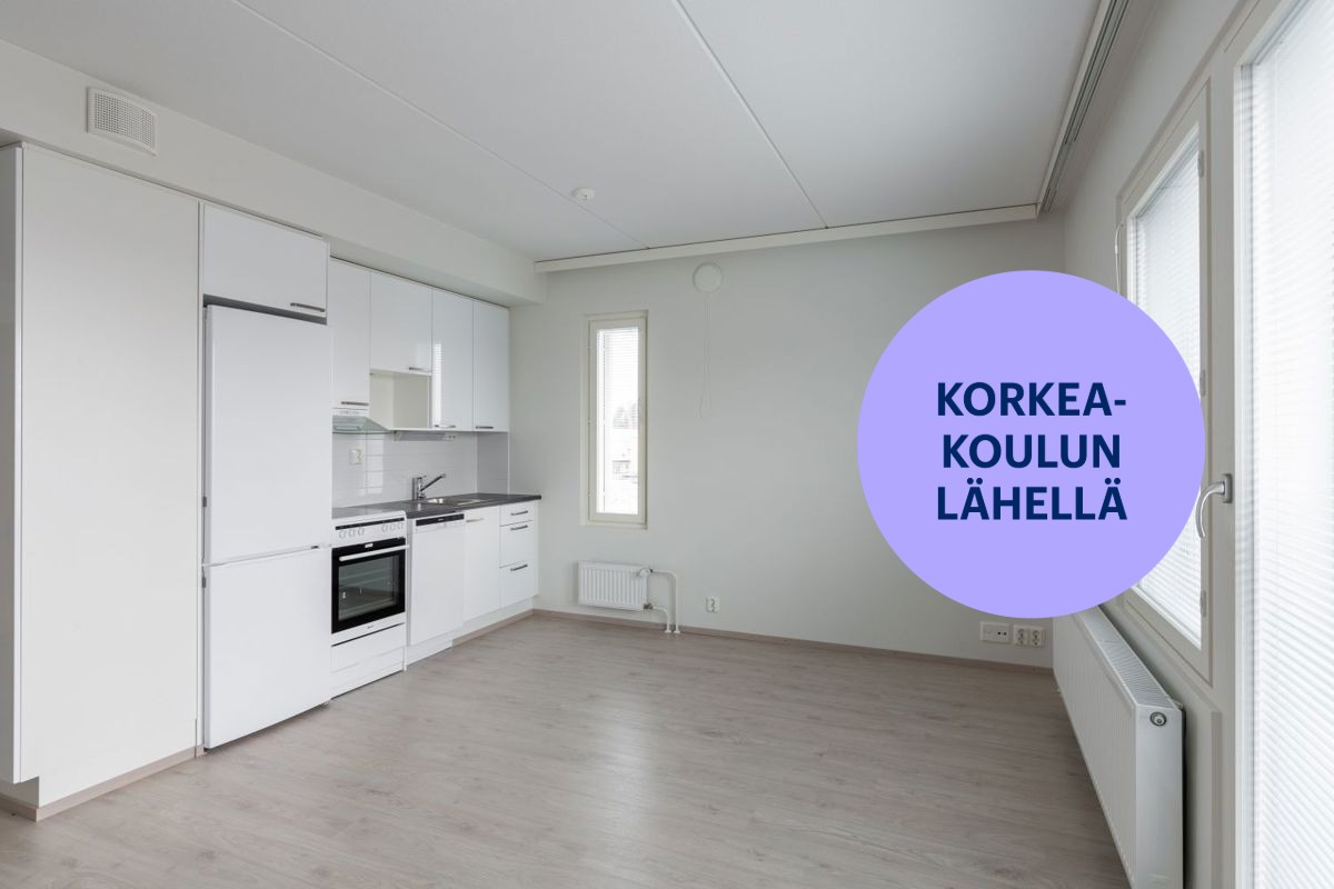 Yksiö, Jyväskylä, Keskusta