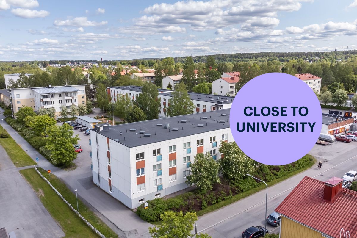 Studio, Tampere, Nekala