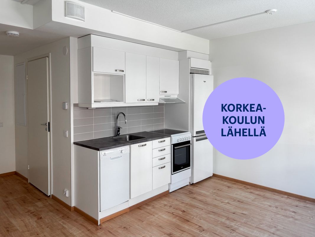 Yksiö, Hämeenlinna, Keskusta