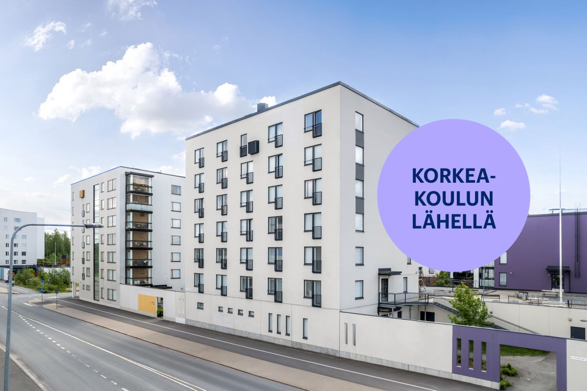 Kaksio, Hämeenlinna, Keinusaari