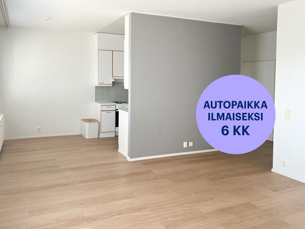 Kaksio, Turku, Pääskyvuori