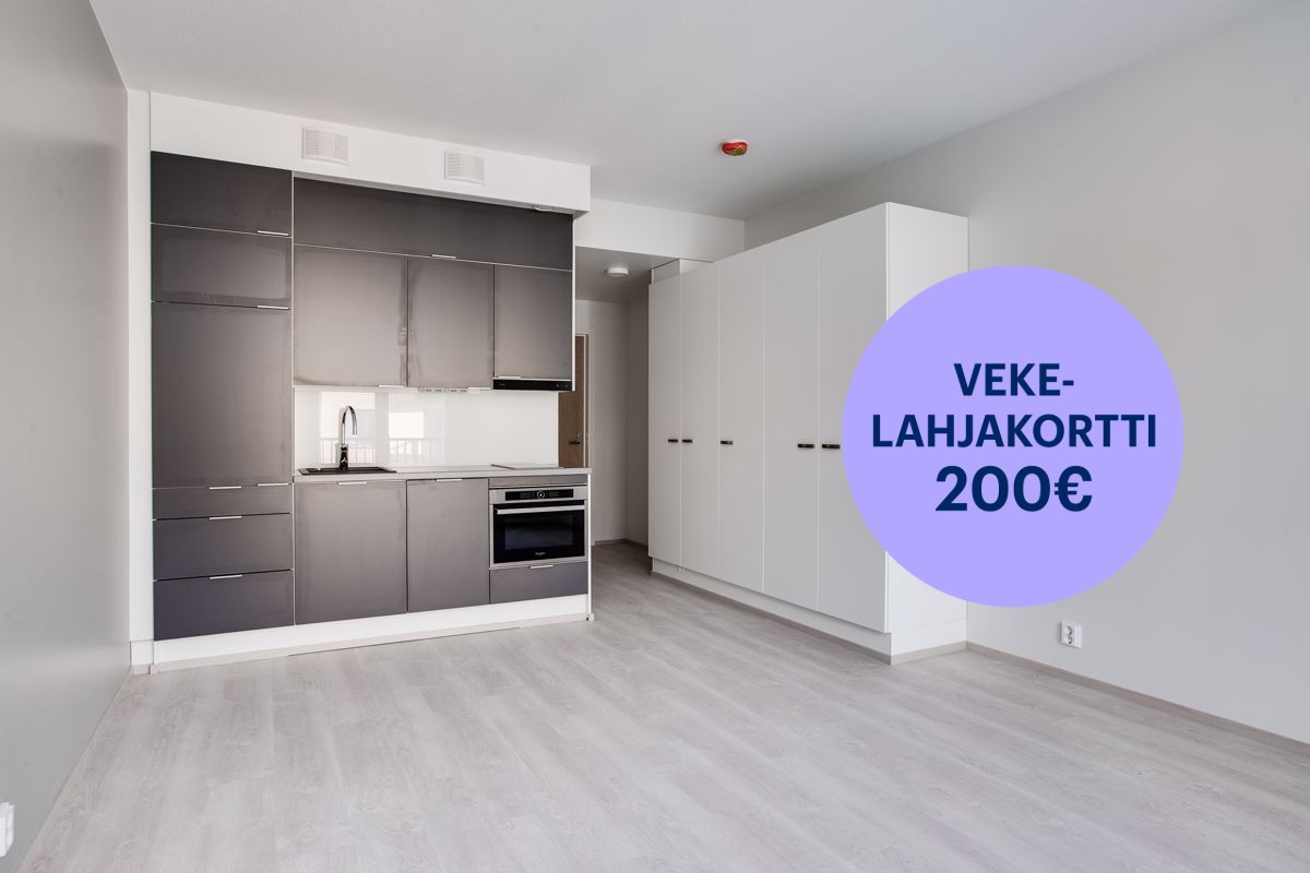 Yksiö, Hämeenlinna, Keskusta