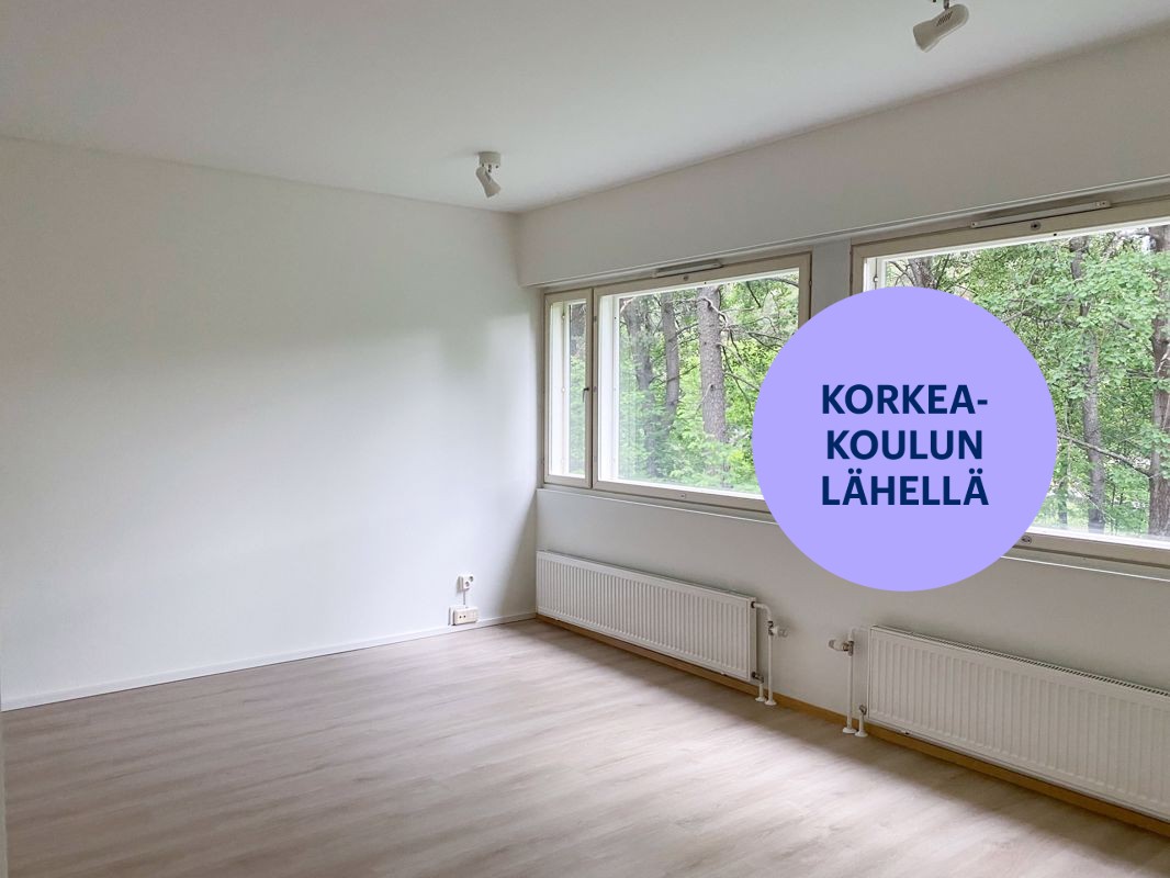 Yksiö, Helsinki, Pihlajamäki