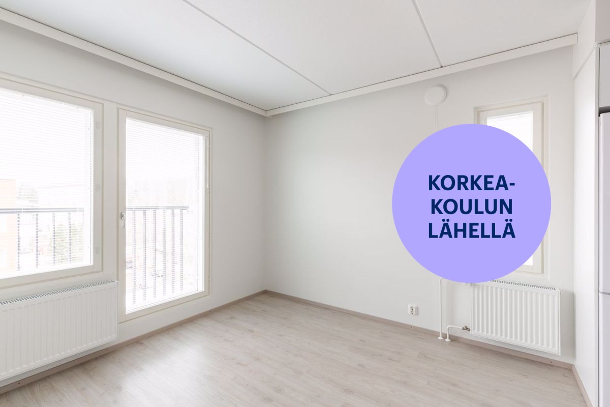 Yksiö, Jyväskylä, Keskusta