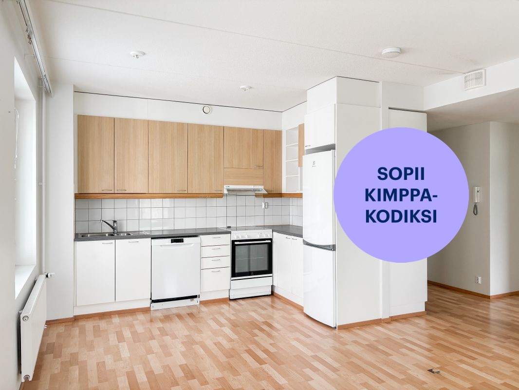 Kolmio, Oulu, Välivainio
