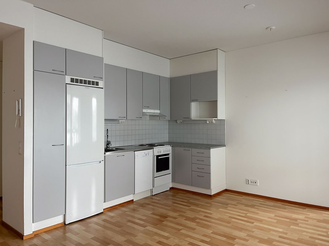 1-bedroom apartment, Lahti, Asemantausta