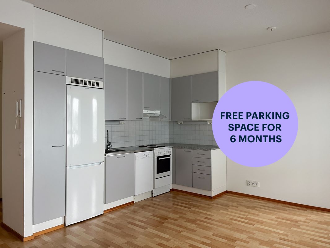 1-bedroom apartment, Lahti, Asemantausta