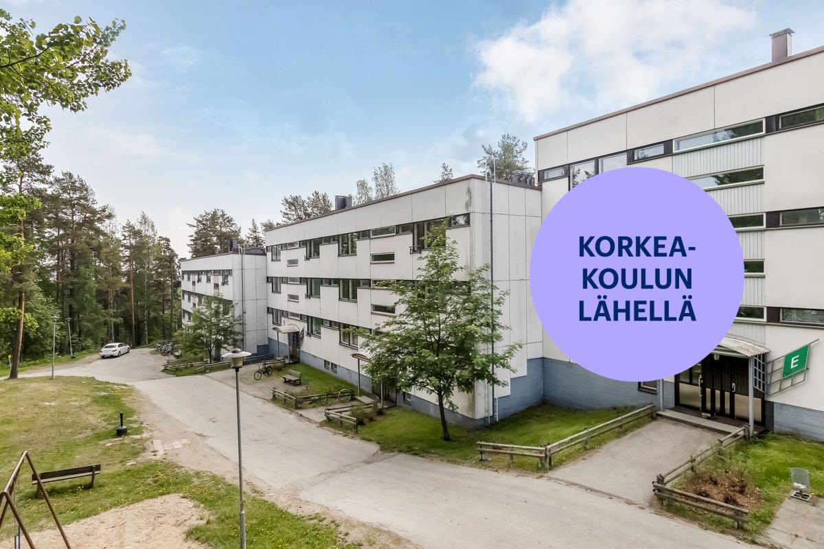 Yksiö, Kuopio, Puijonlaakso