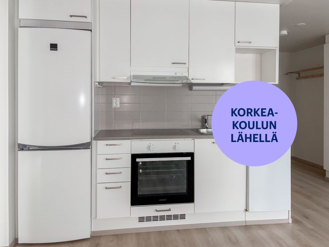 Kaksio, Jyväskylä, Keskusta