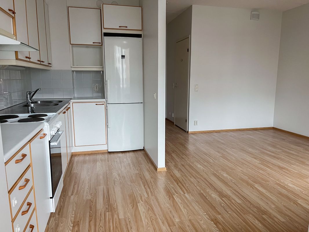 1-bedroom apartment, Turku, Martti