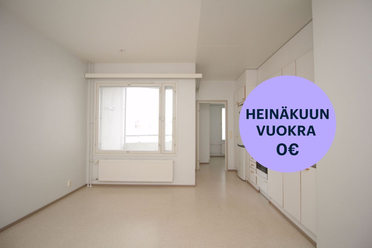 Kaksio, Hämeenlinna, Keinusaari