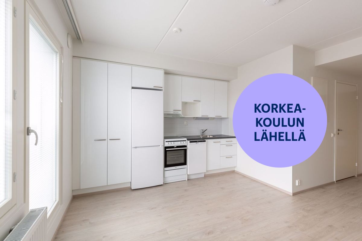 Yksiö, Jyväskylä, Keskusta