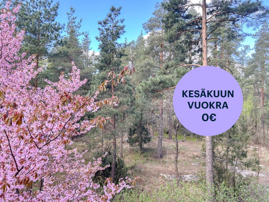 Kaksio, Vantaa, Veromies