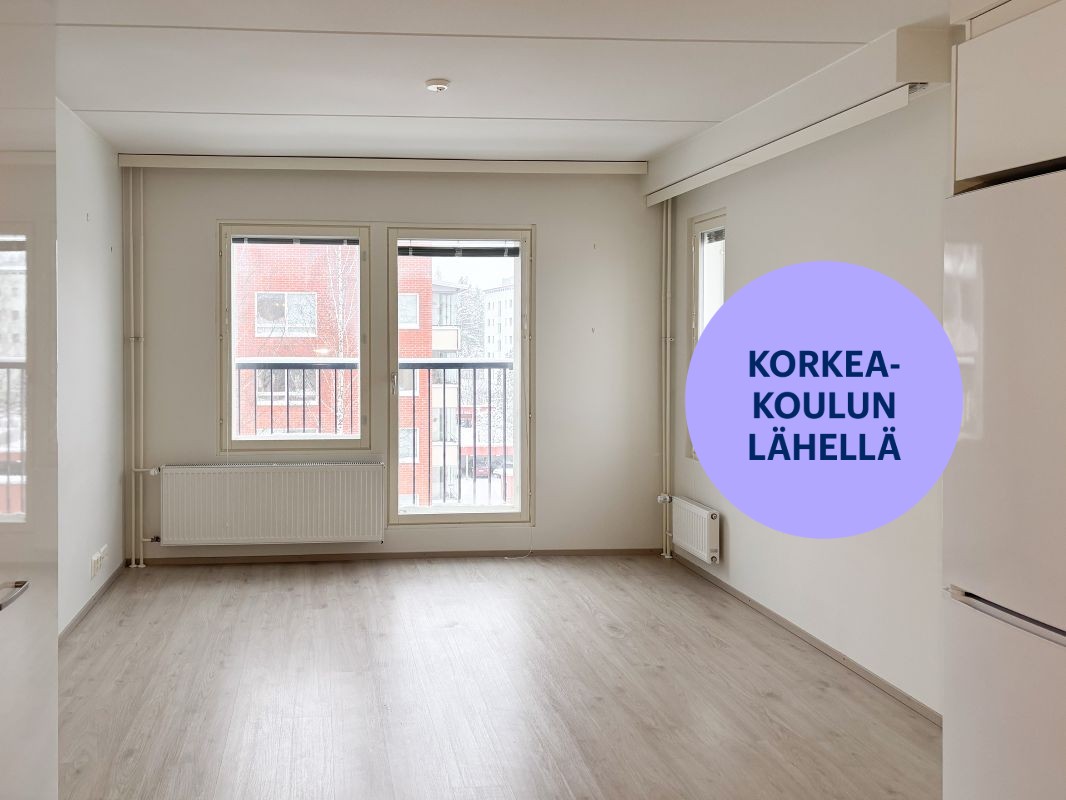 Yksiö, Jyväskylä, Keskusta