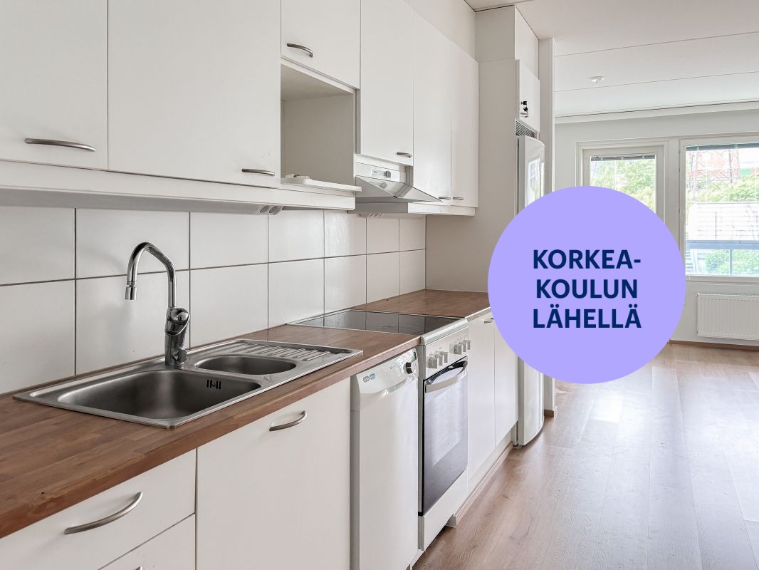 Yksiö, Kuopio, Puijonlaakso