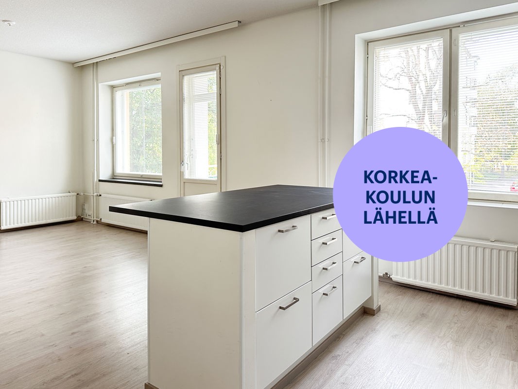 Yksiö, Tampere, Amuri