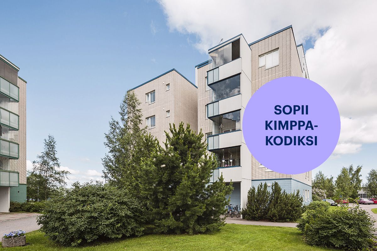 Neliö, Lahti, Ruoriniemi