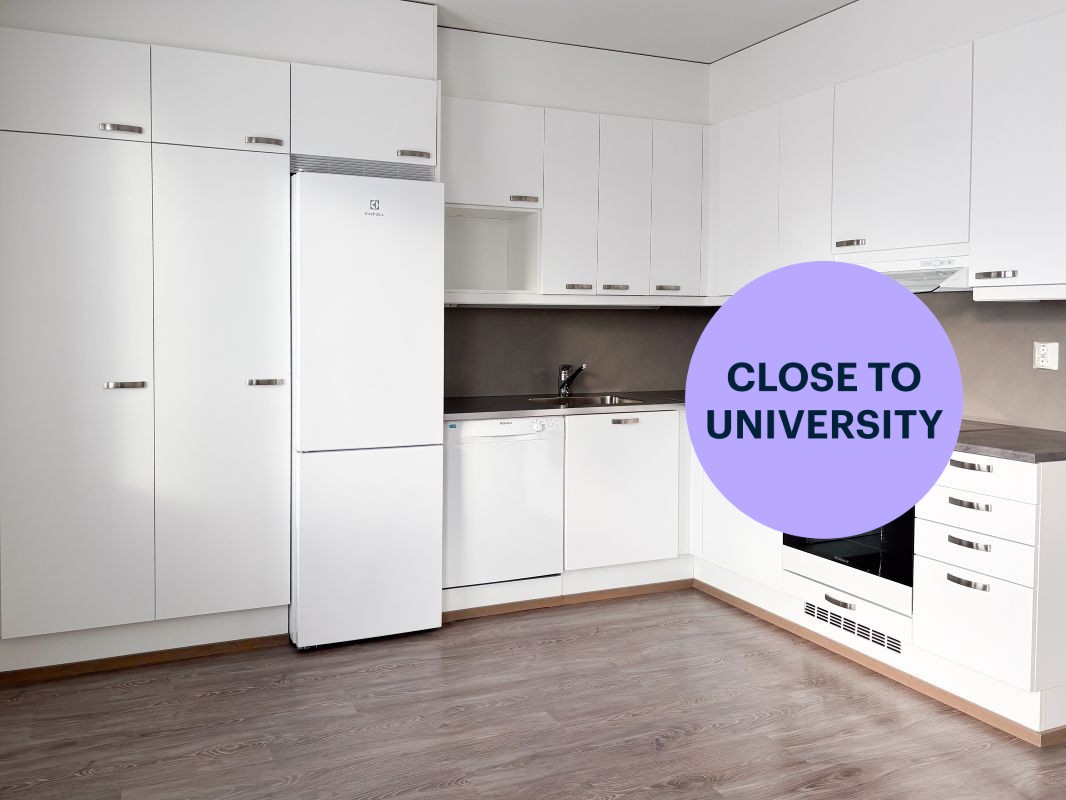 1-bedroom apartment, Hämeenlinna, Keinusaari