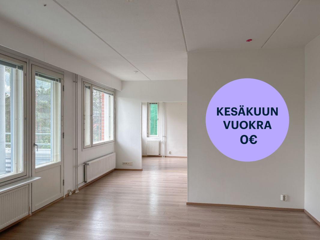 Kolmio, Oulu, Hiironen