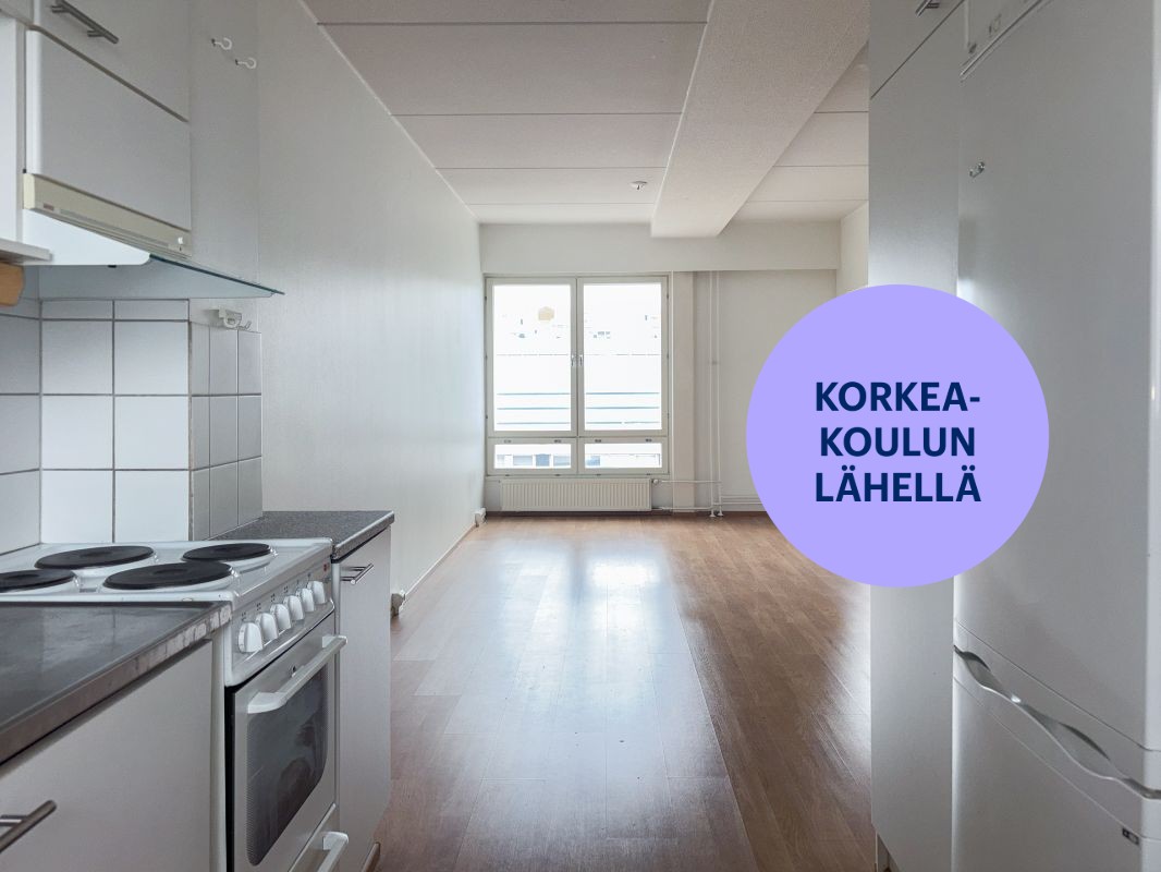 Kaksio, Jyväskylä, Keskusta