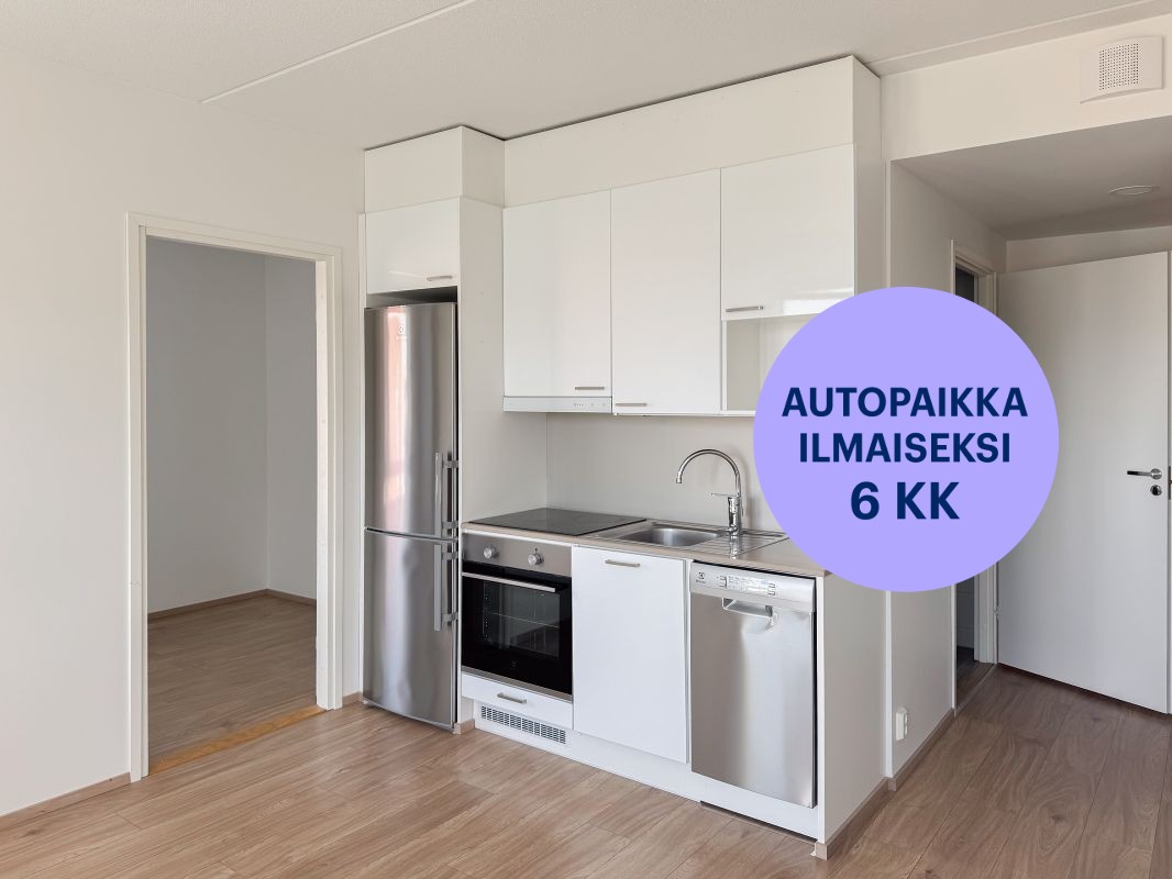 Kaksio, Turku, Pääskyvuori
