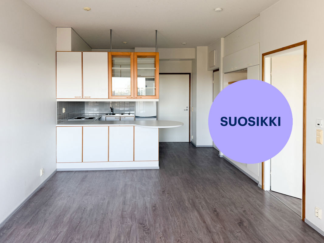 Kaksio, Turku, Pääskyvuori