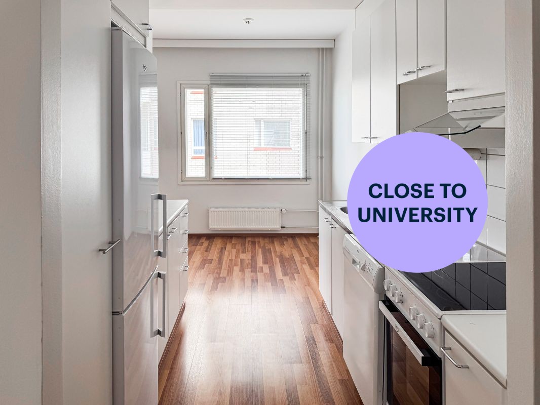 1-bedroom apartment, Turku, Martti