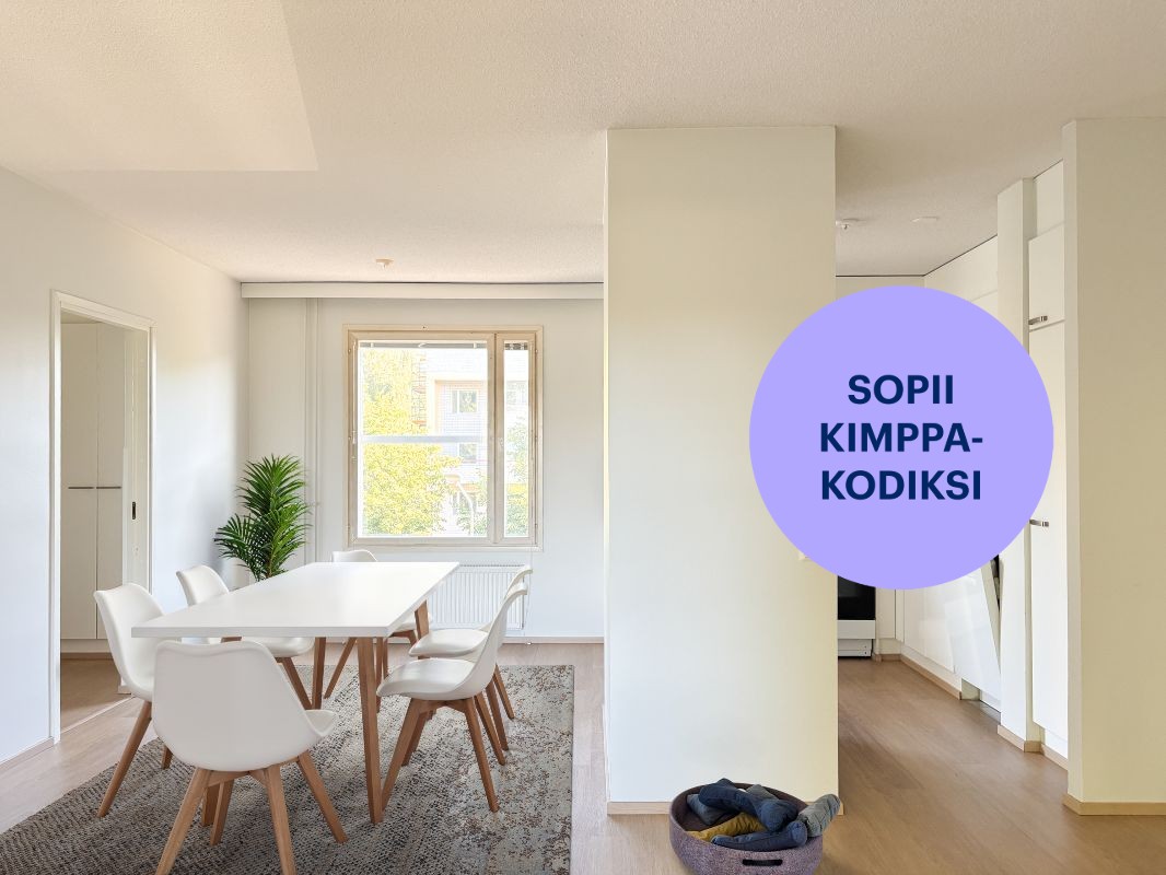 Virtuaalisisustettu - Neliö, Kuopio, Petonen