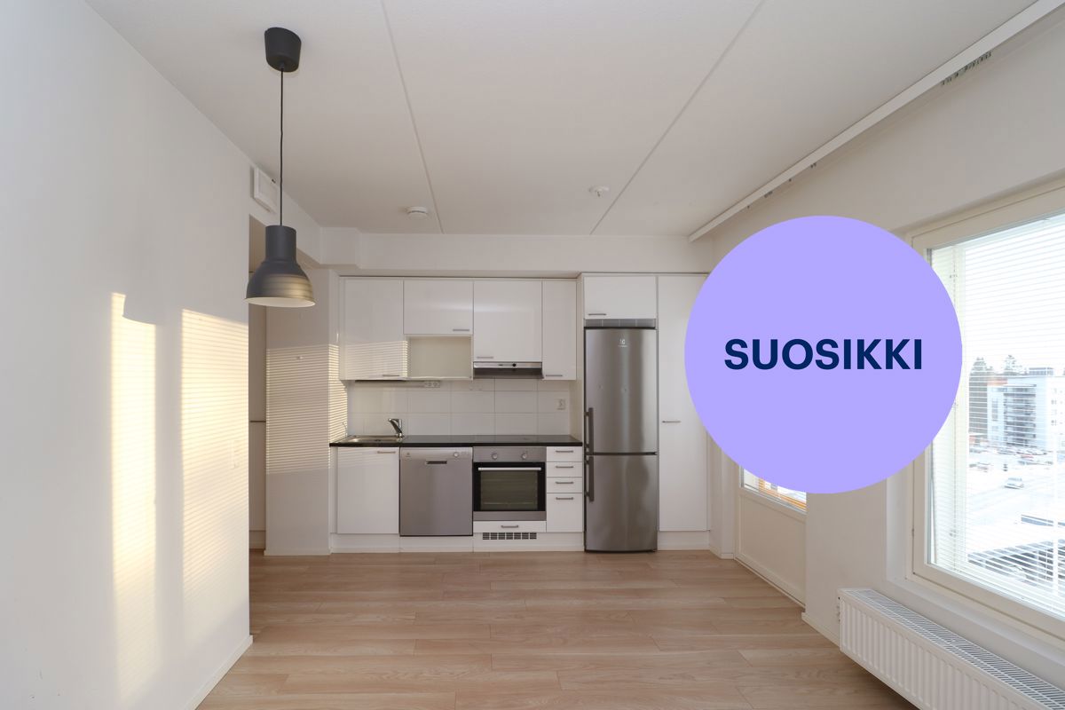 Yksiö, Jyväskylä, Mannila