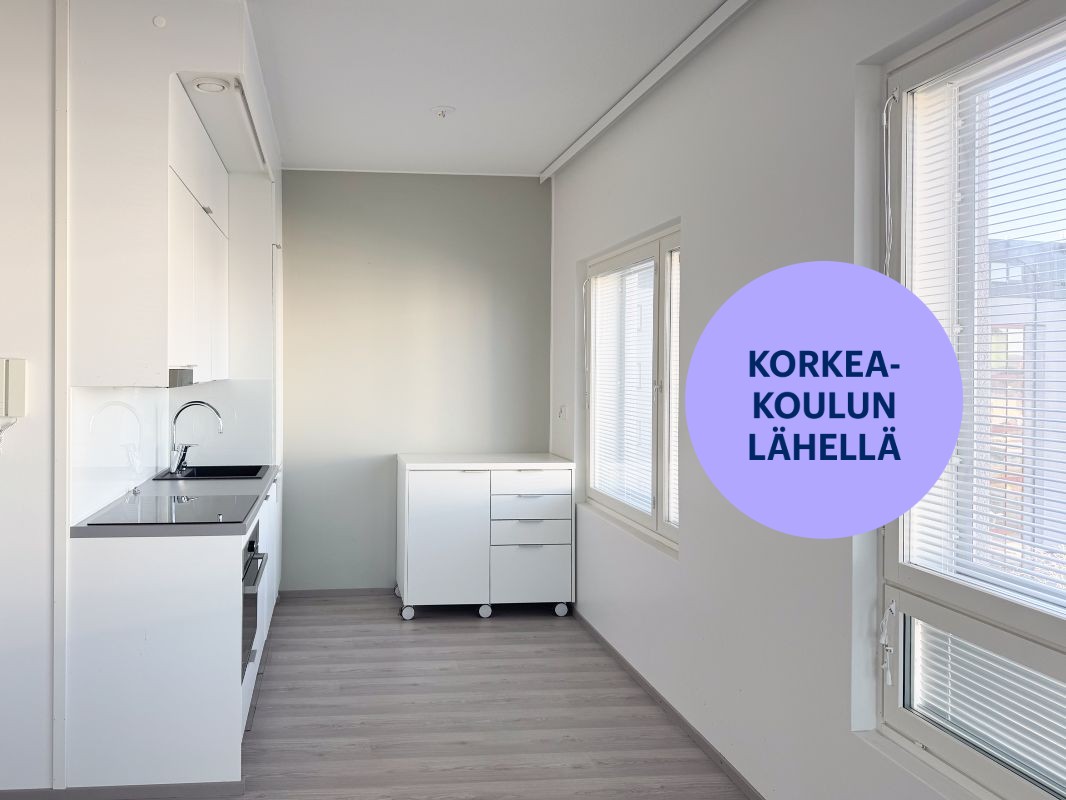 Kaksio, Turku, Kupittaa