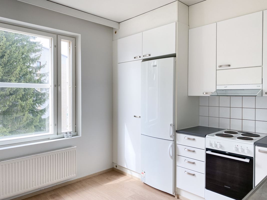 Kolmio, Kuopio, Petonen