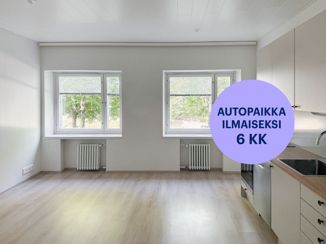 Kaksio, Turku, Keskusta