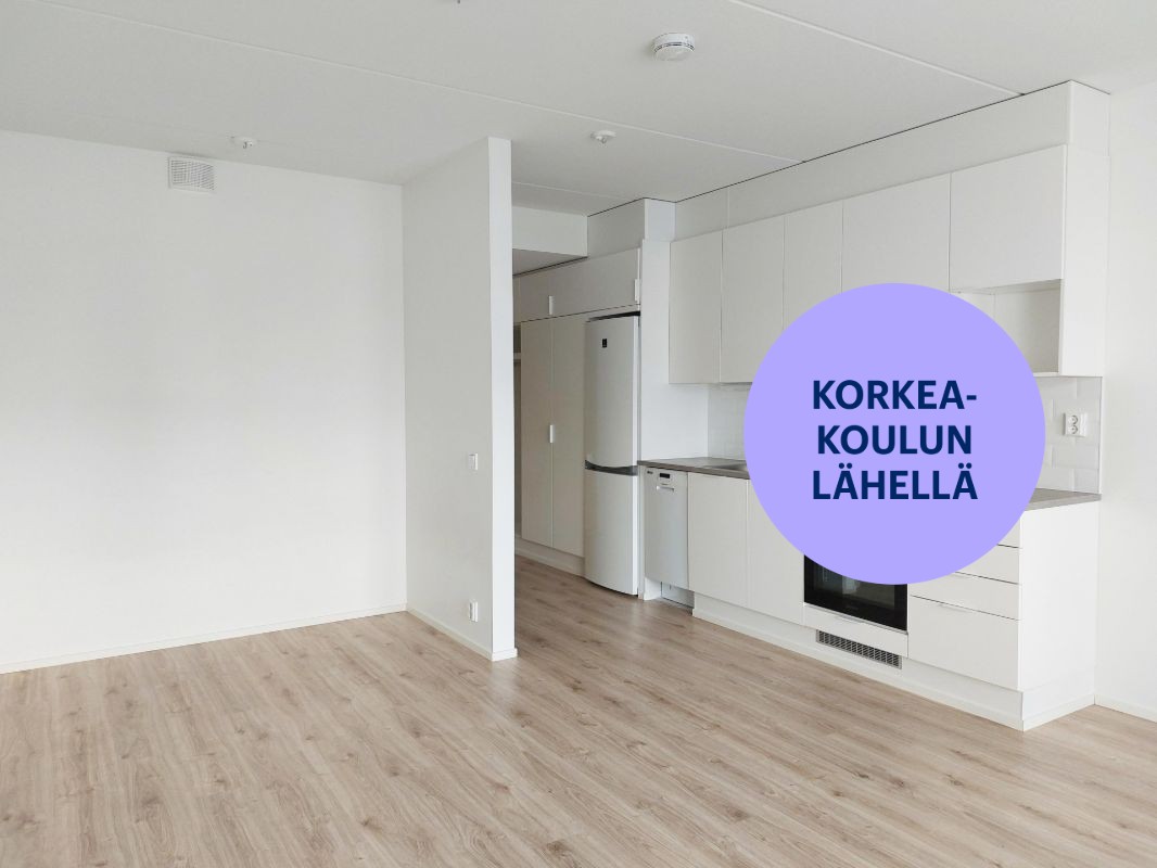 Yksiö, Jyväskylä, Lutakko