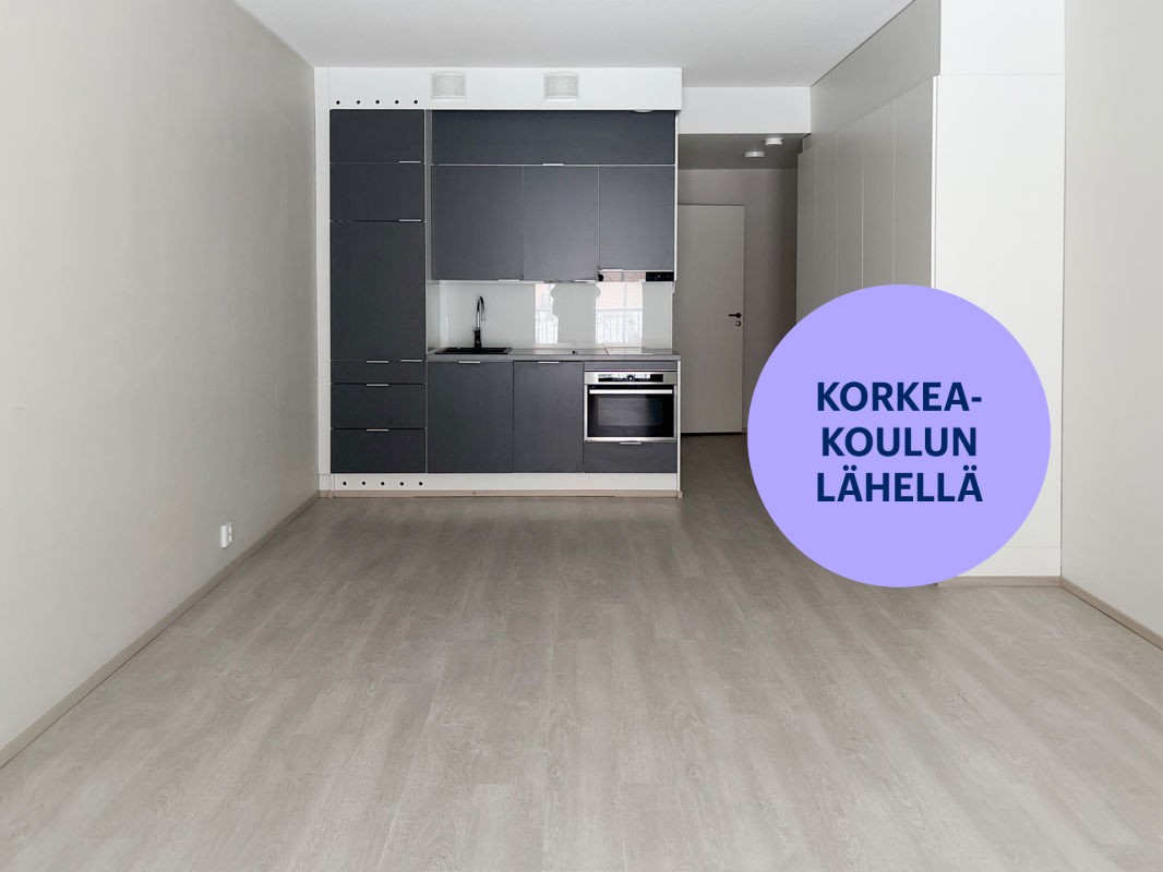 Yksiö, Hämeenlinna, Keskusta