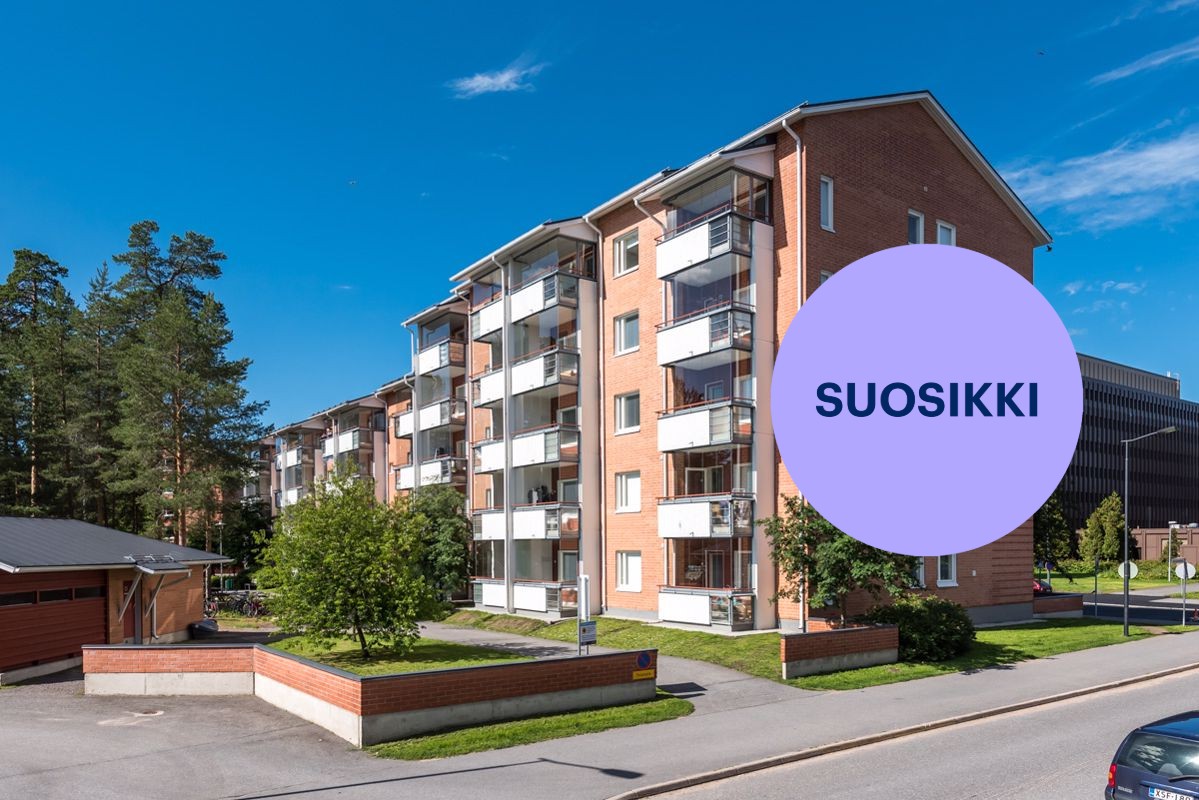 Kolmio, Oulu, Hiironen