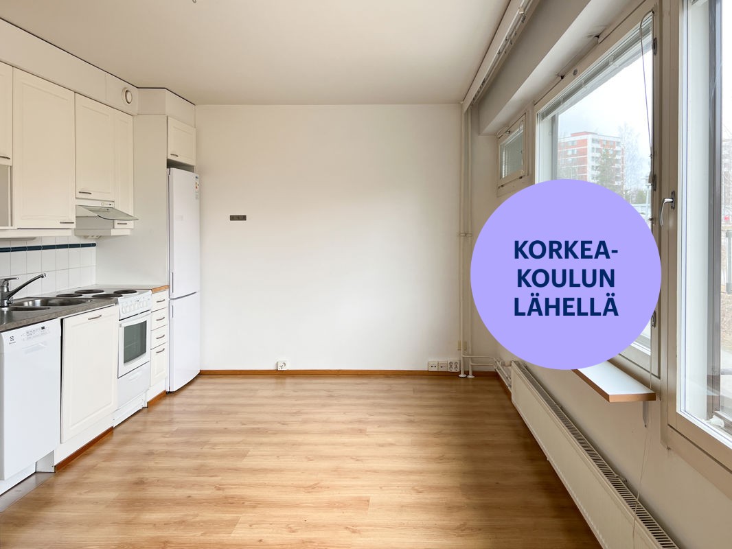 Yksiö, Kuopio, Puijonlaakso