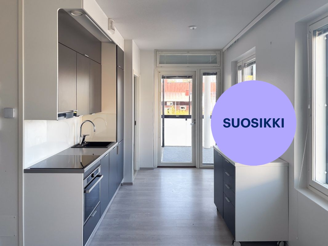 Kaksio, Hämeenlinna, Keskusta