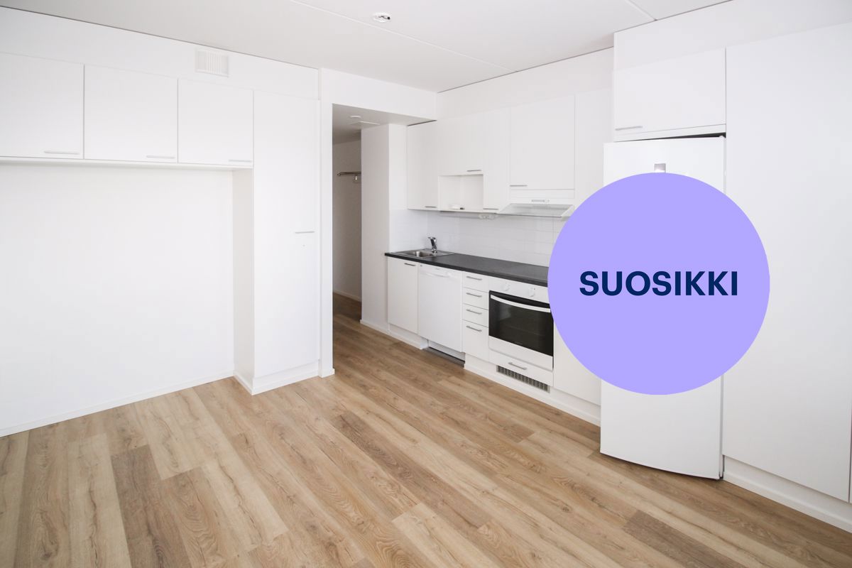 Yksiö, Jyväskylä, Mannila