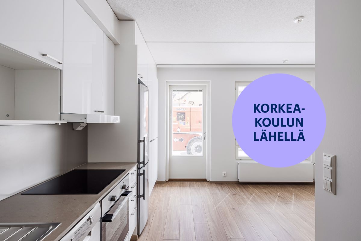 Yksiö, Turku, Pääskyvuori