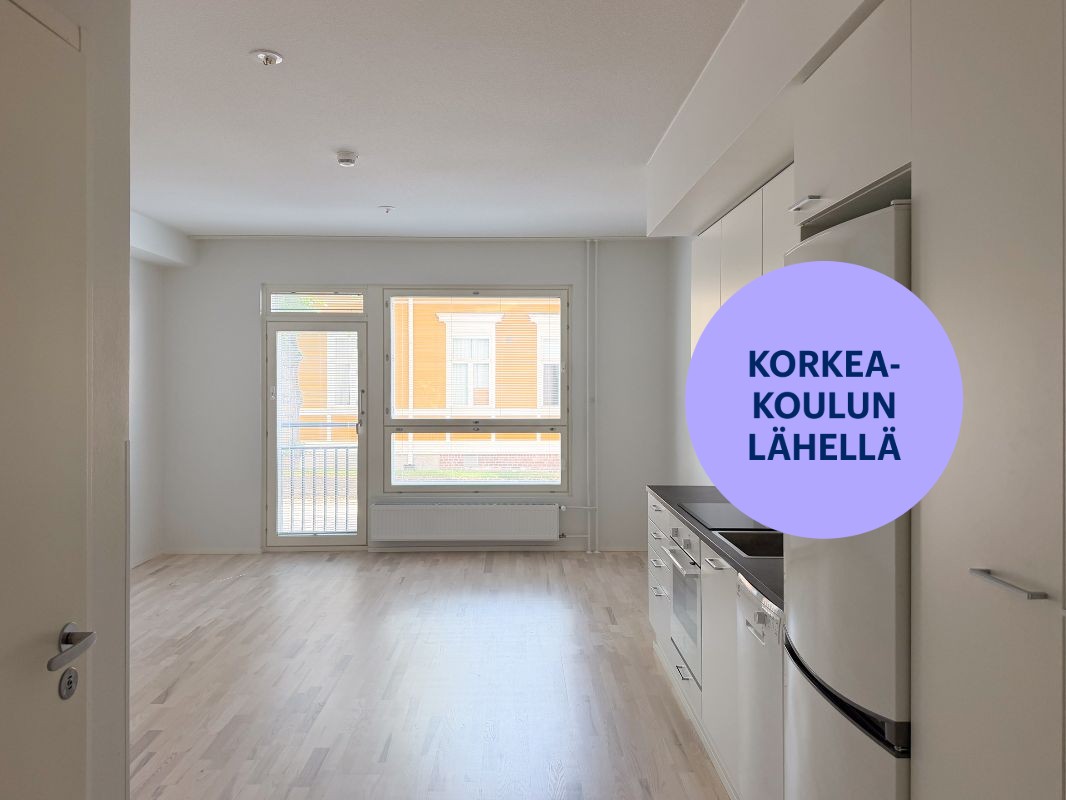 Yksiö, Tampere, Keskusta