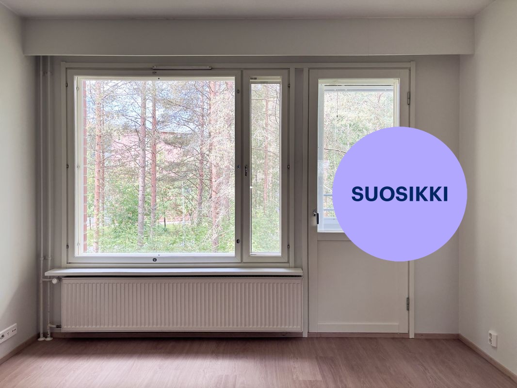 Kaksio, Oulu, Hiironen
