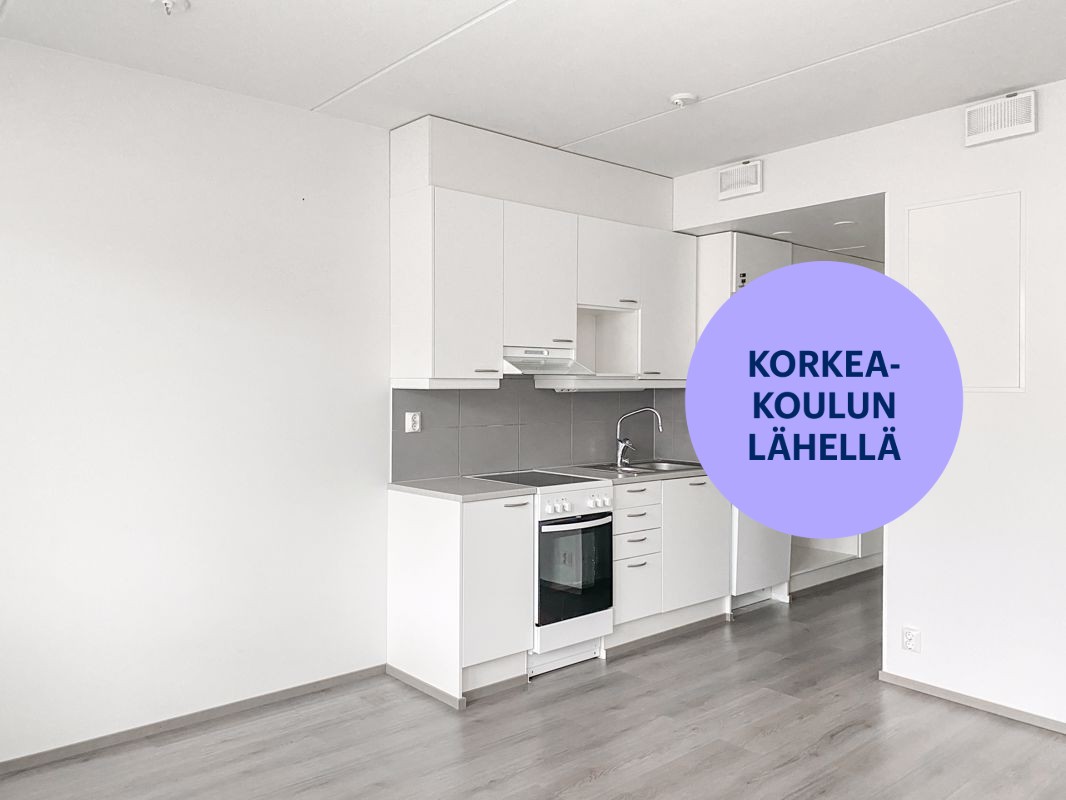Yksiö, Kuopio, Puijonlaakso