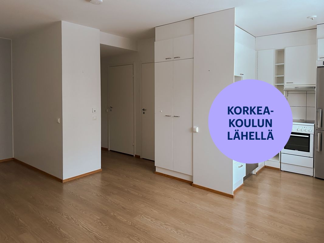 Yksiö, Oulu, Alppila