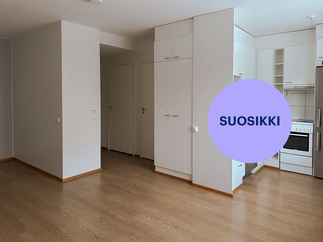 Yksiö, Oulu, Alppila