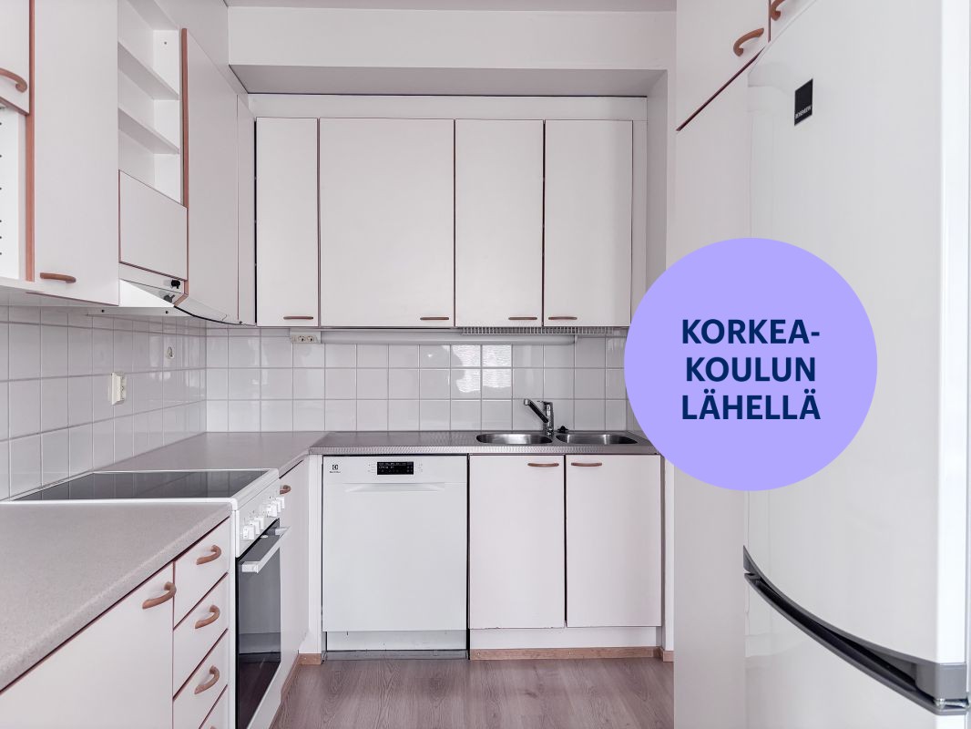 Kaksio, Oulu, Hiironen