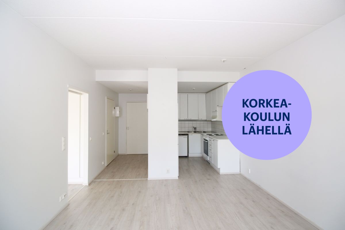 Kaksio, Jyväskylä, Ainolanranta