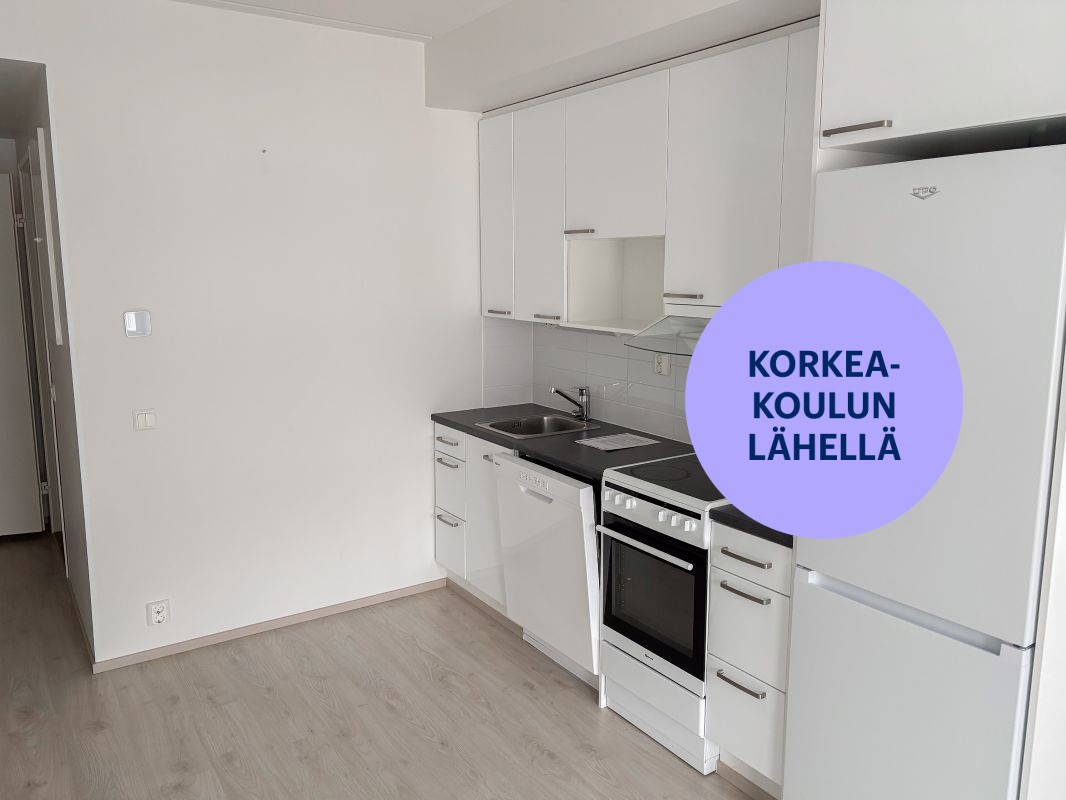 Yksiö, Jyväskylä, Keskusta
