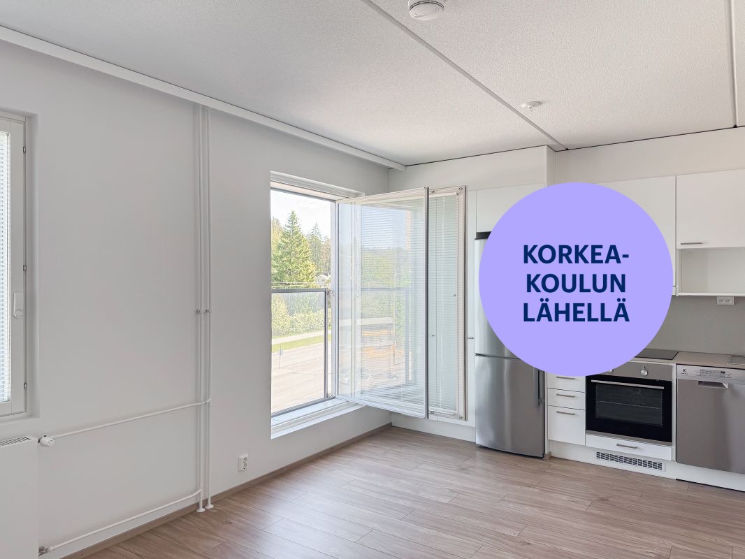 Yksiö, Turku, Pääskyvuori