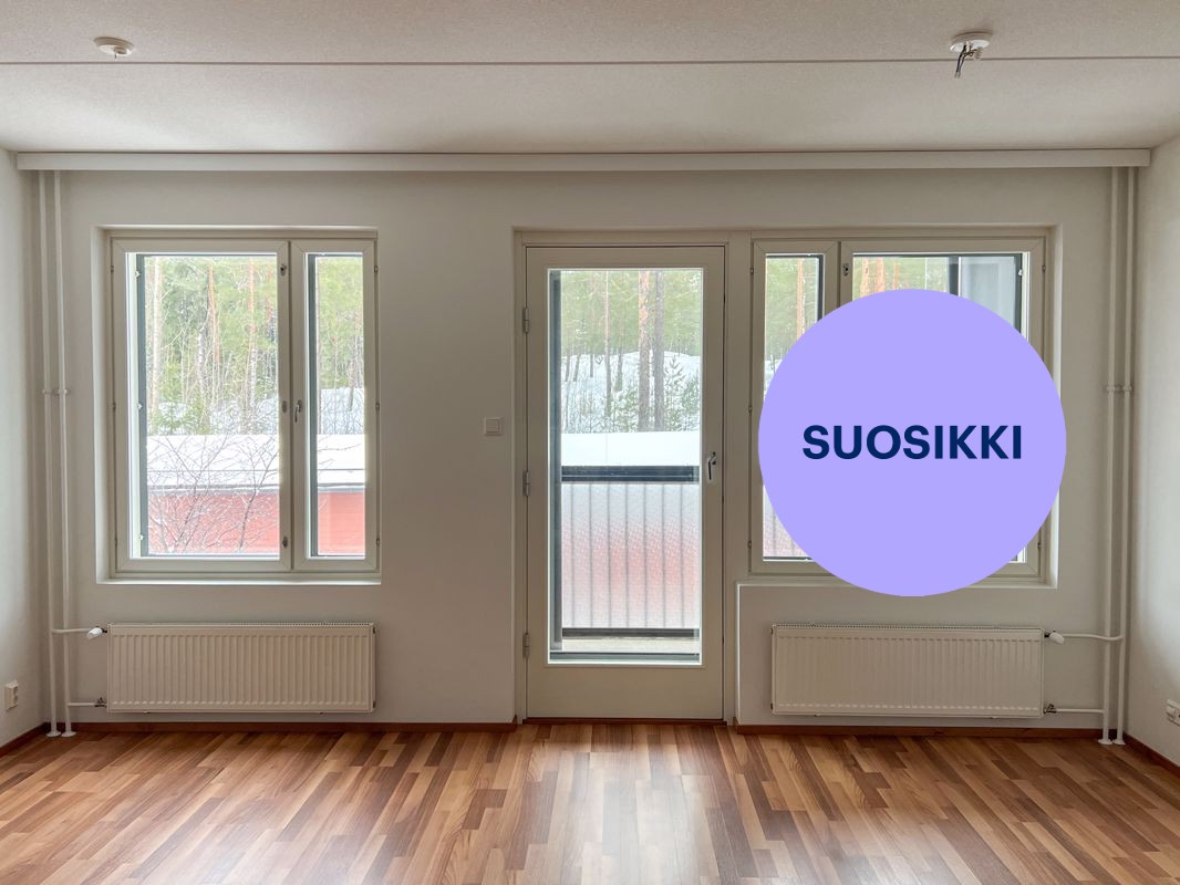 Yksiö, Vantaa, Veromies