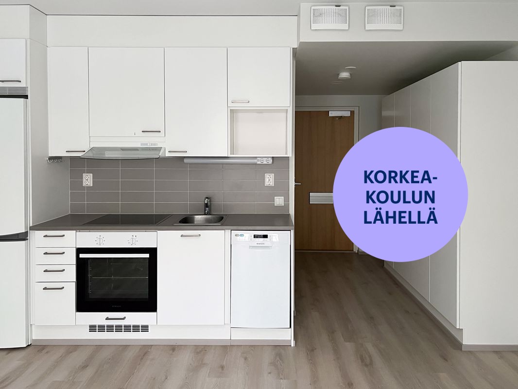 Yksiö, Jyväskylä, Keskusta